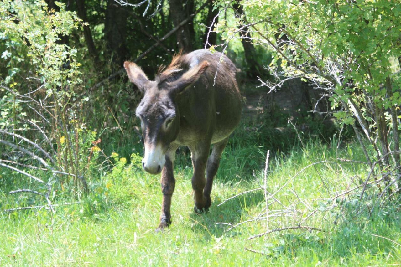 Valcaris: Gites, Chambre D'Hotes Et Tables D'Hotes Le Chaffal Exterior foto